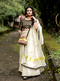 Banarasi Silk Sarees